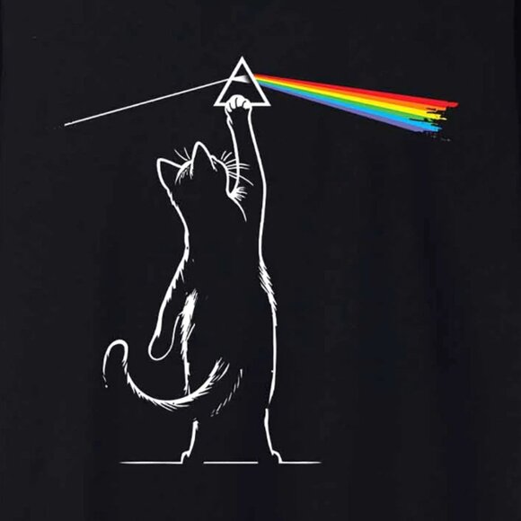 Pink Floyd Cat Dark Side Of The Moon Funny Black Unisex T-shirt 169 - Picture 2 of 5